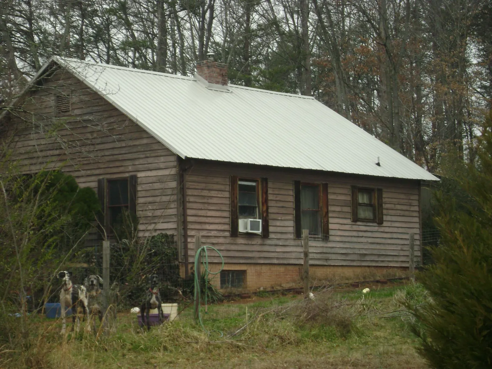 White metal roof on an old wood sided farmhouse, from a Asphalt Shingle Roof Repair job in Glen Oaks